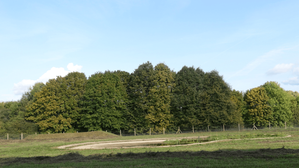 emplacement maison terrain par rapport au soleil et zones d'ombre